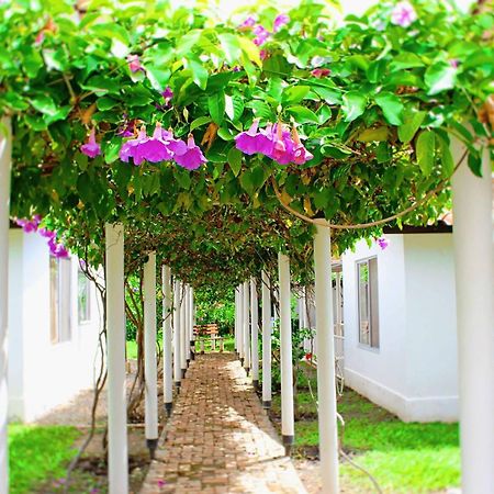 Villa Alejandra 히라르도트 외부 사진