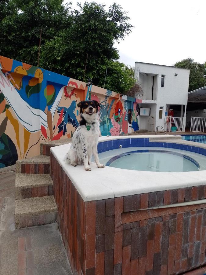 Villa Alejandra 히라르도트 외부 사진